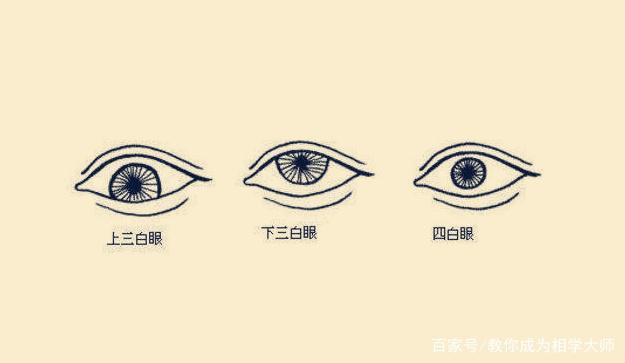 所谓的三白眼或者是四白眼,就是指黑眼珠长得比较小,而四周的眼白却